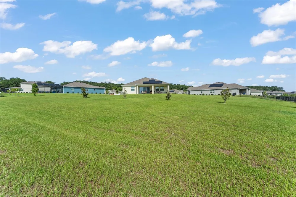 6025 CLAYSTONE WAY Mount Dora, FL 32757