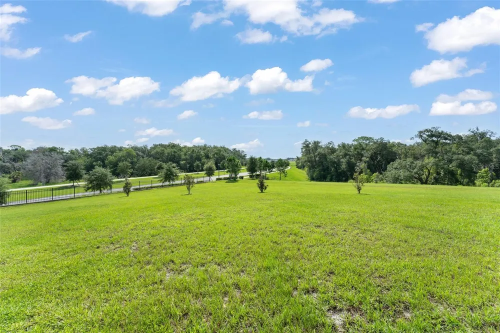 6025 CLAYSTONE WAY Mount Dora, FL 32757