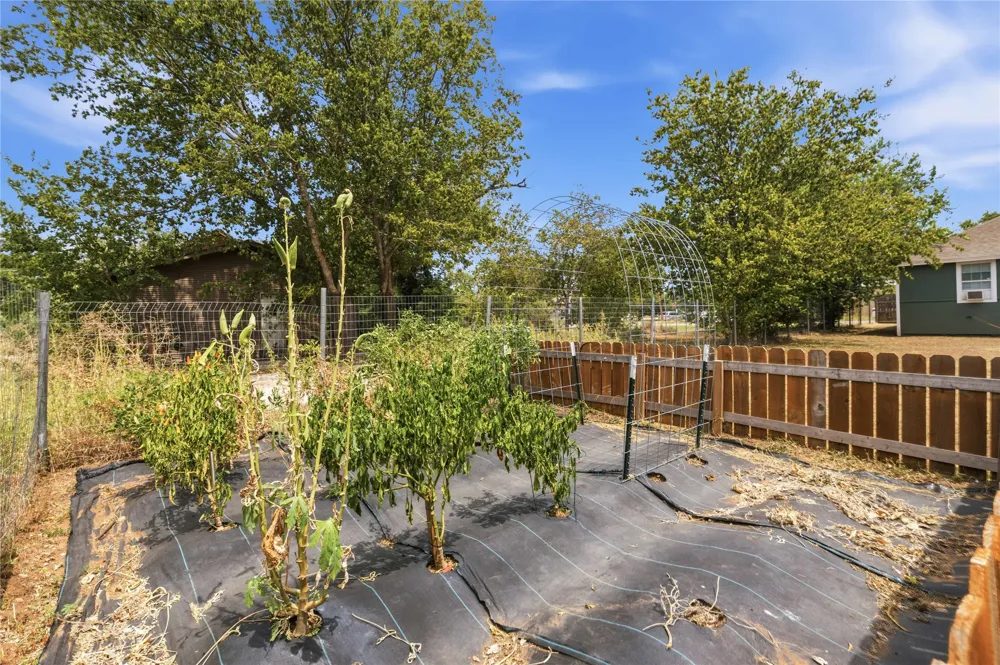 1303 Avenue D Brownwood, TX 76801