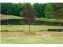 275 Pondview Drive Athens, GA 30605