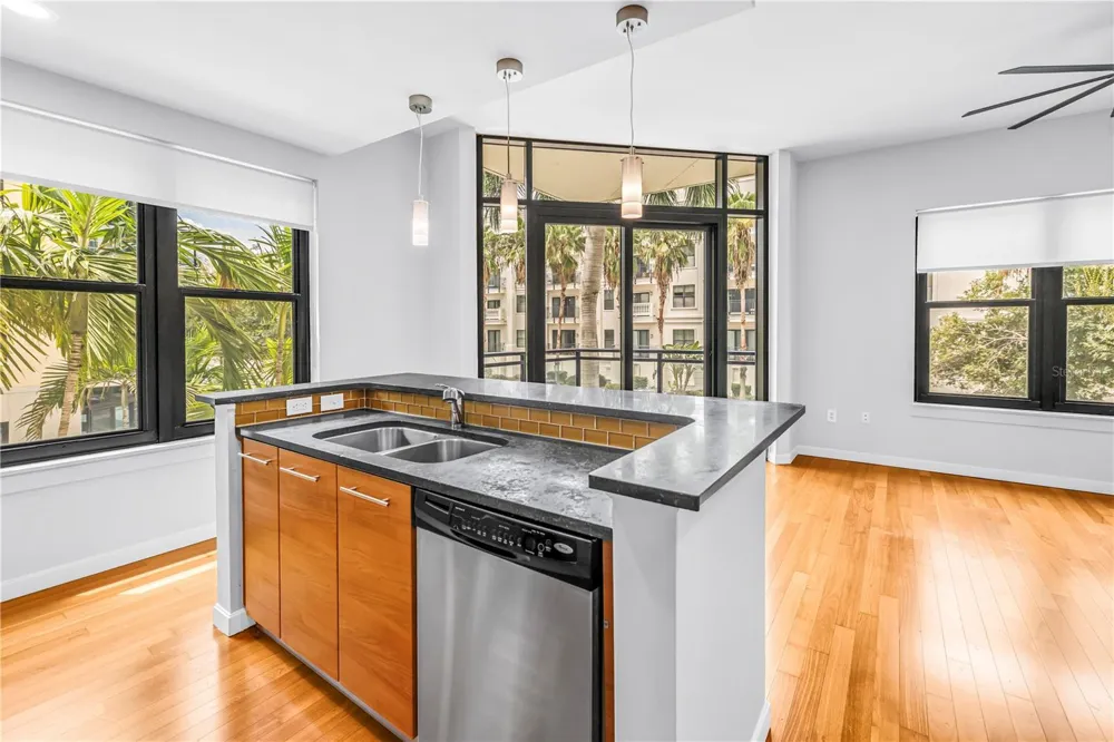 400 4TH AVENUE S #207 St Petersburg, FL 33701