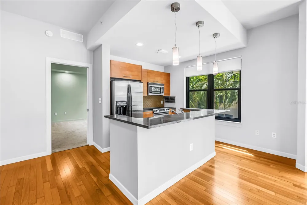 400 4TH AVENUE S #207 St Petersburg, FL 33701