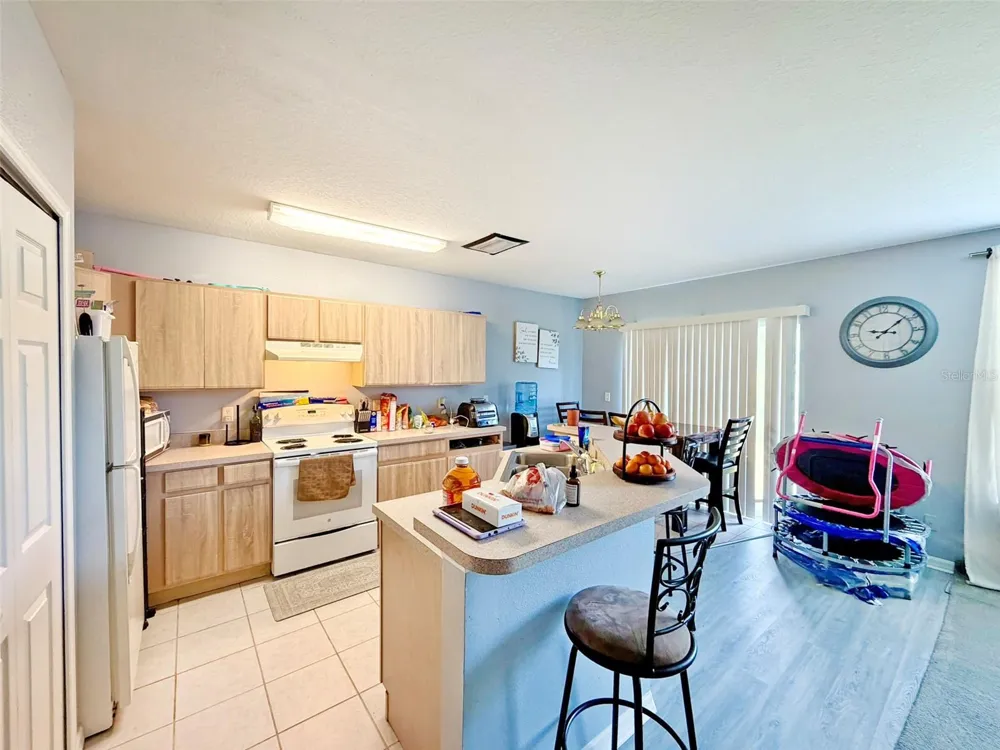6225 OLIVEDALE DRIVE Riverview, FL 33578