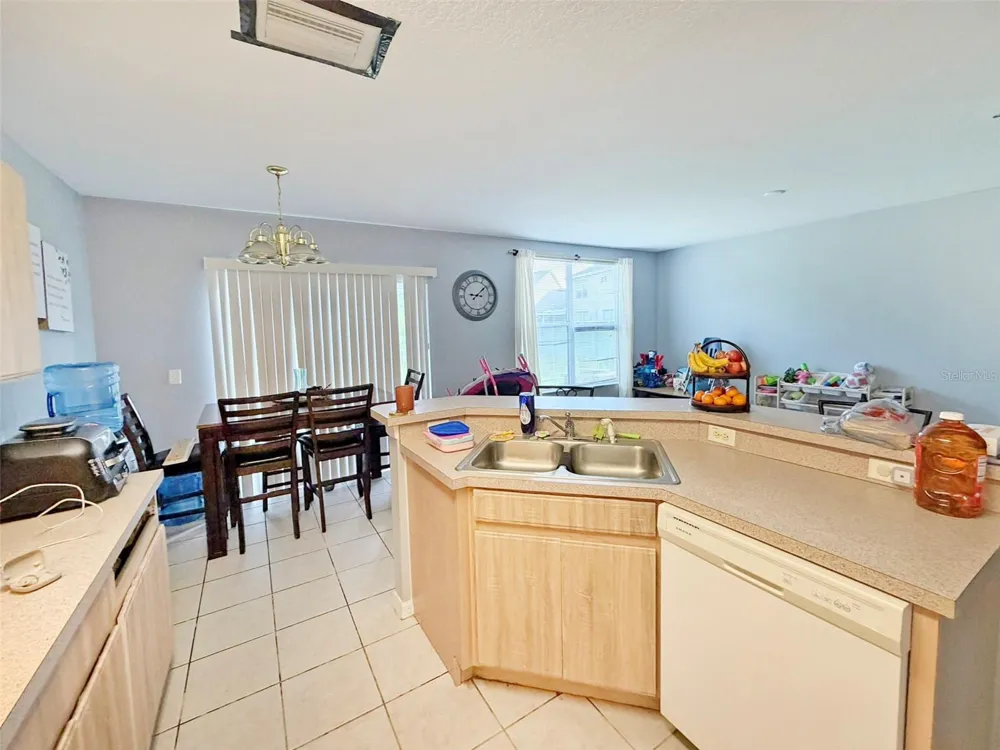 6225 OLIVEDALE DRIVE Riverview, FL 33578