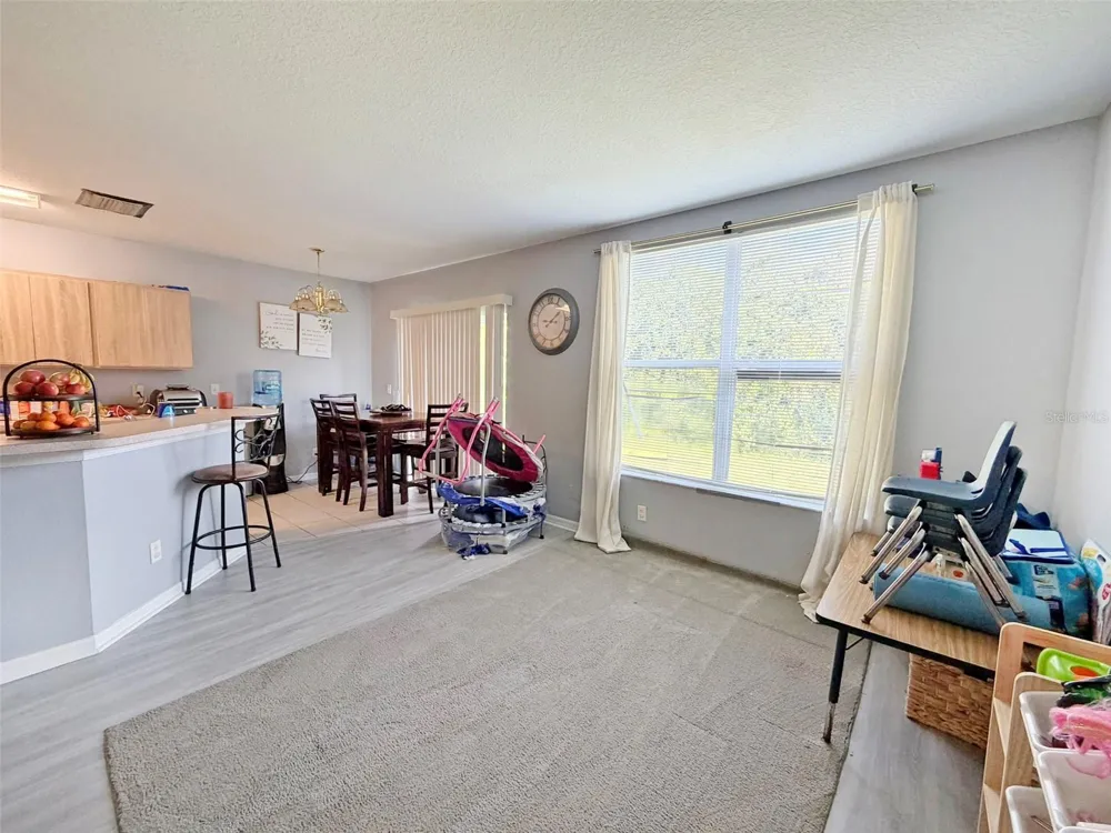 6225 OLIVEDALE DRIVE Riverview, FL 33578