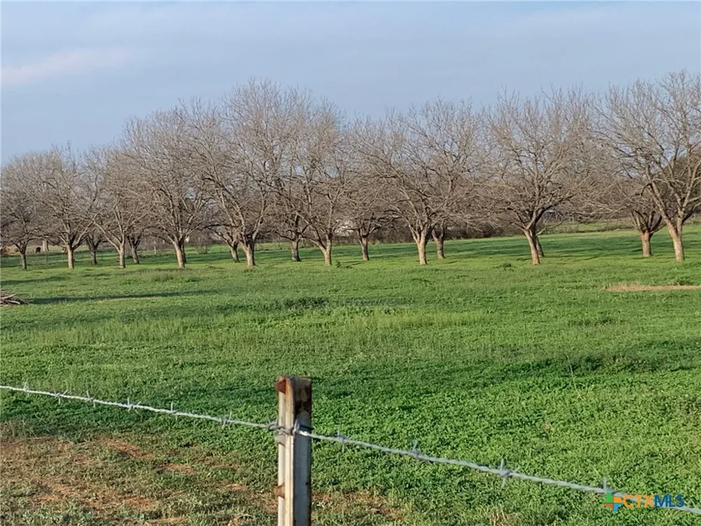 263 Krams Creek Road Seguin, TX 78155