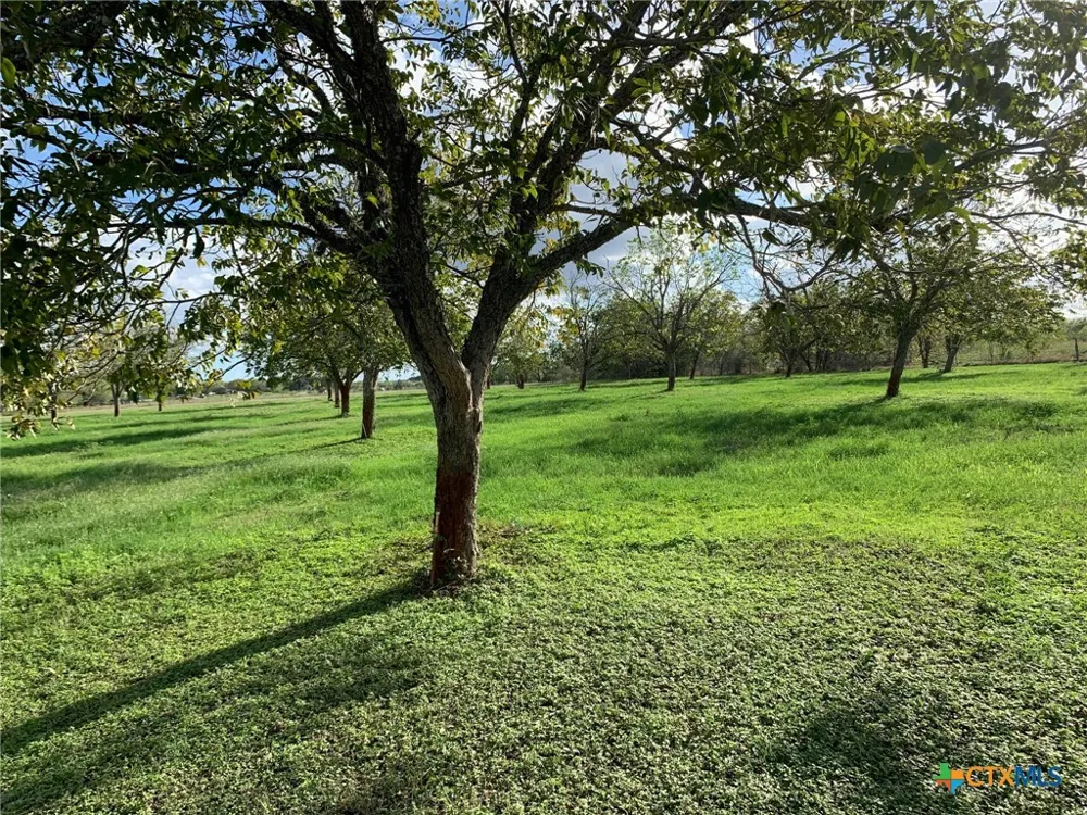 263 Krams Creek Road Seguin, TX 78155
