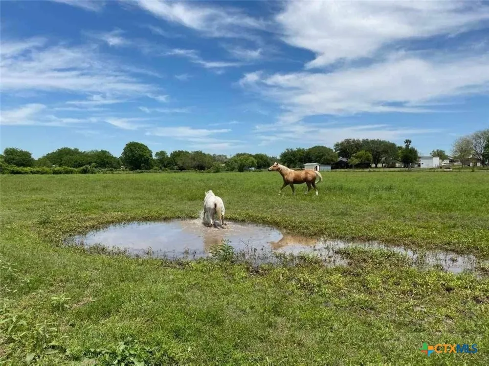 263 Krams Creek Road Seguin, TX 78155