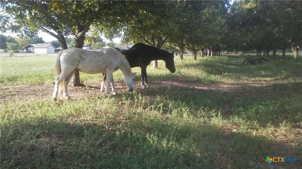 263 Krams Creek Road Seguin, TX 78155