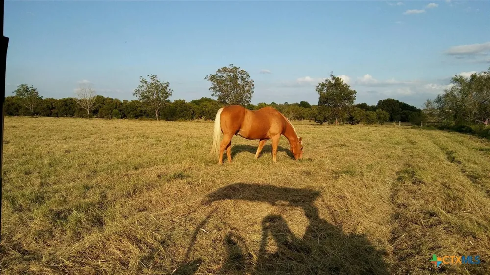 263 Krams Creek Road Seguin, TX 78155