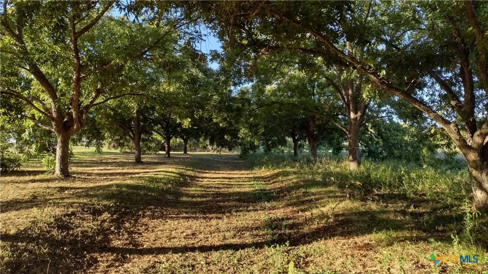 263 Krams Creek Road Seguin, TX 78155