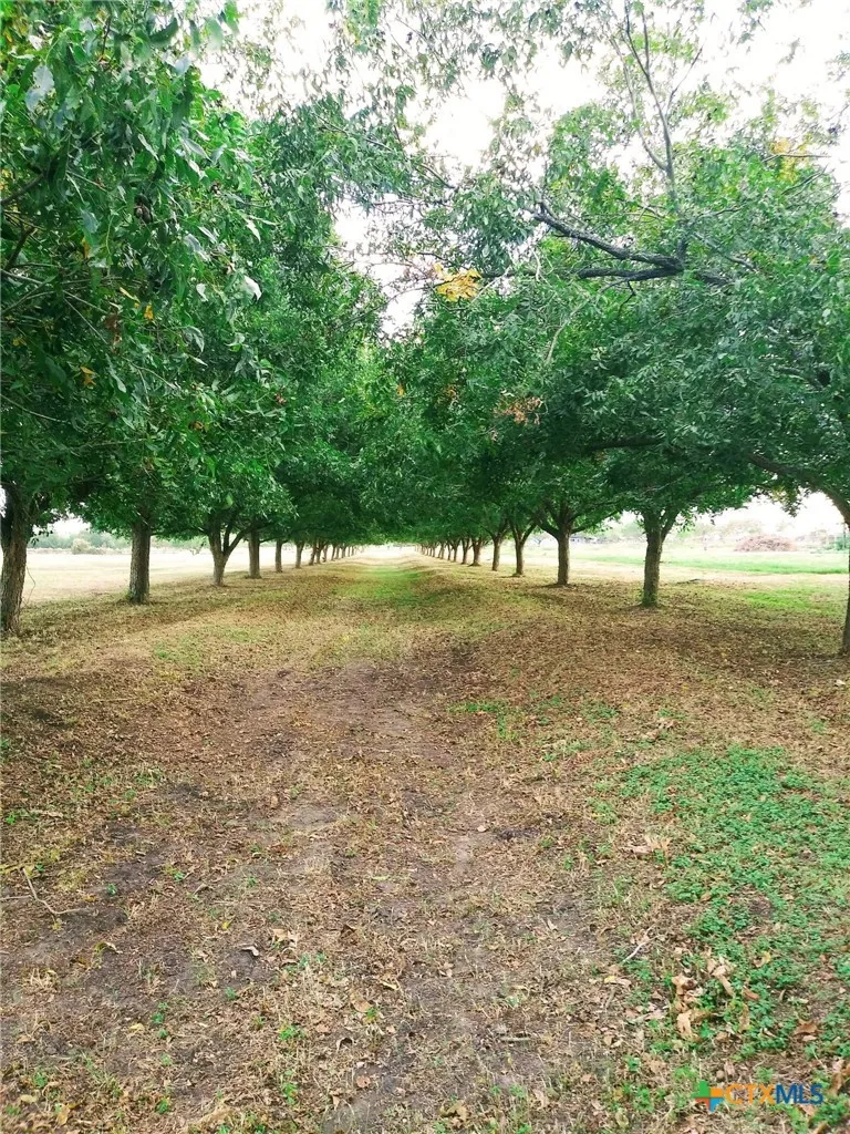 263 Krams Creek Road Seguin, TX 78155