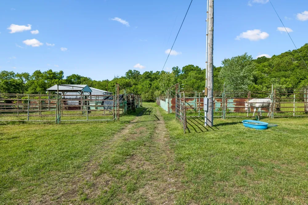 97 Seabo Valley Ln Hickman, TN 38567