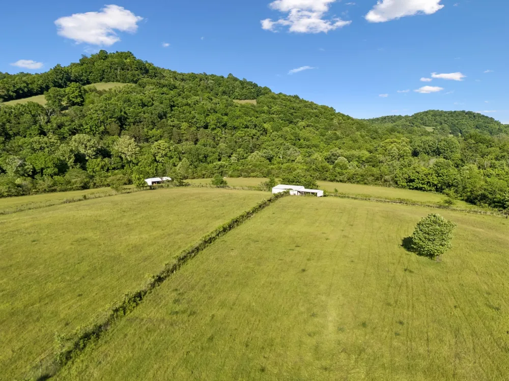 97 Seabo Valley Ln Hickman, TN 38567