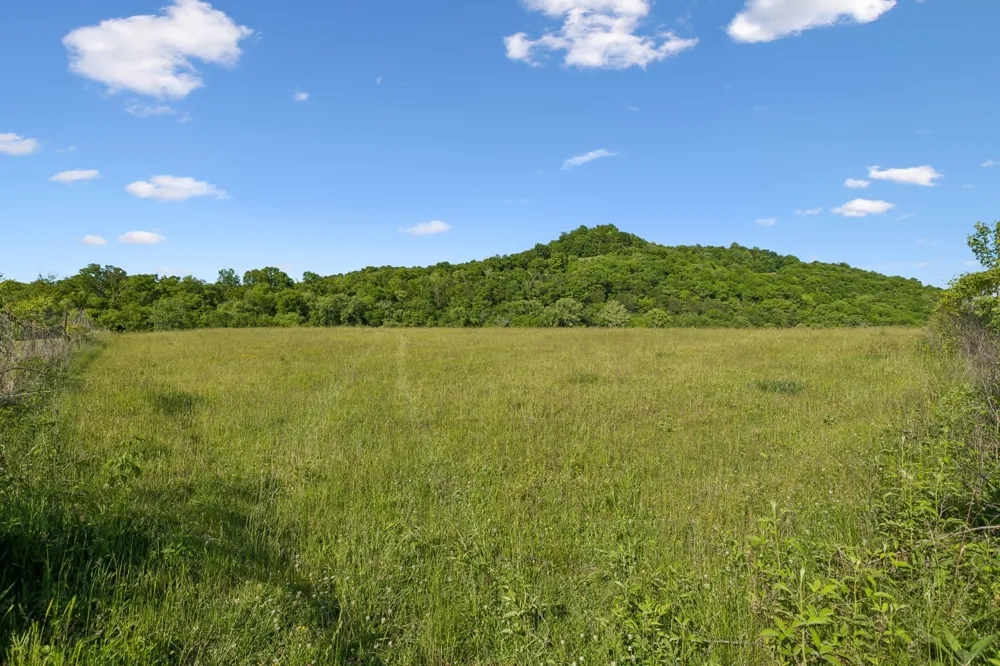 97 Seabo Valley Ln Hickman, TN 38567