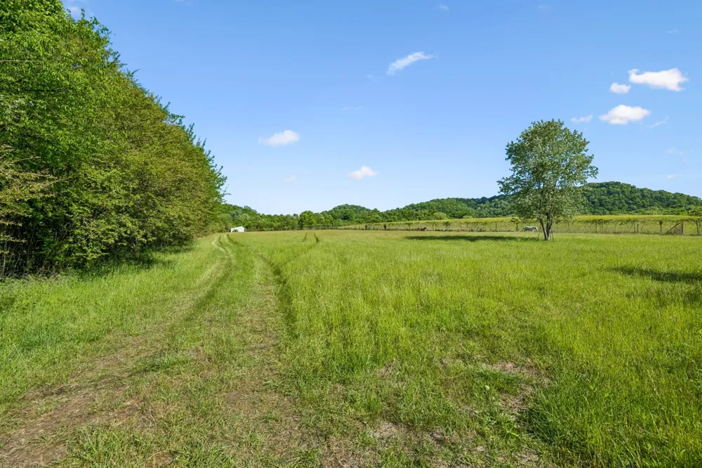97 Seabo Valley Ln Hickman, TN 38567