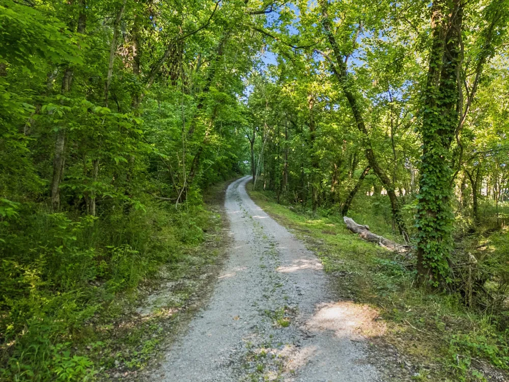 97 Seabo Valley Ln Hickman, TN 38567