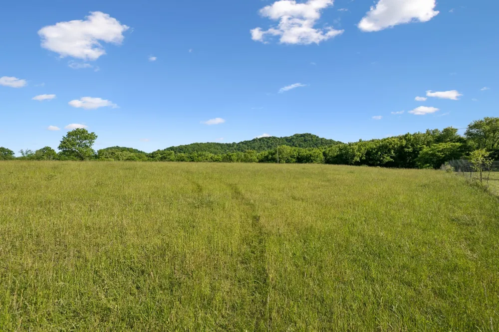 97 Seabo Valley Ln Hickman, TN 38567