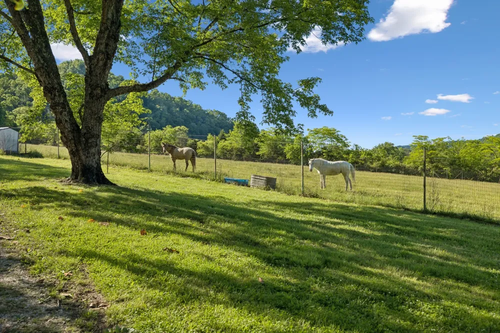 97 Seabo Valley Ln Hickman, TN 38567