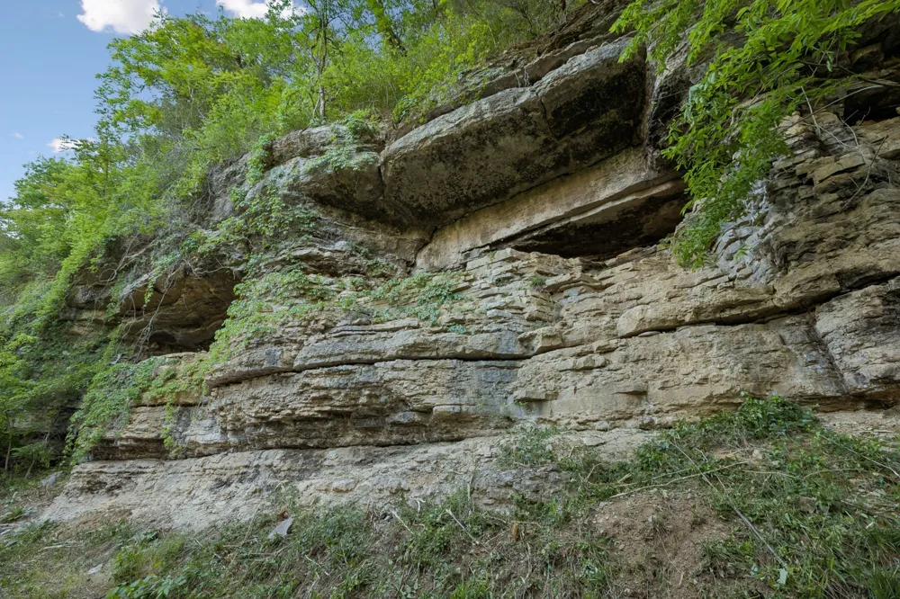 97 Seabo Valley Ln Hickman, TN 38567