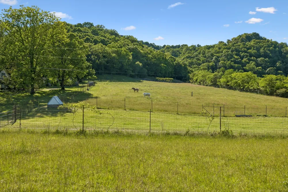 97 Seabo Valley Ln Hickman, TN 38567