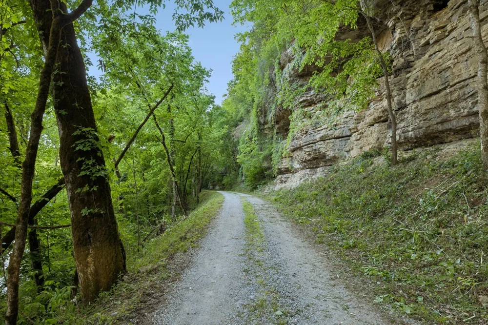 97 Seabo Valley Ln Hickman, TN 38567