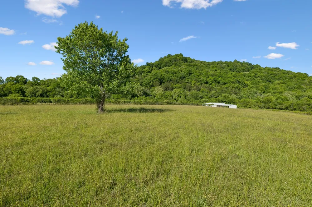 97 Seabo Valley Ln Hickman, TN 38567