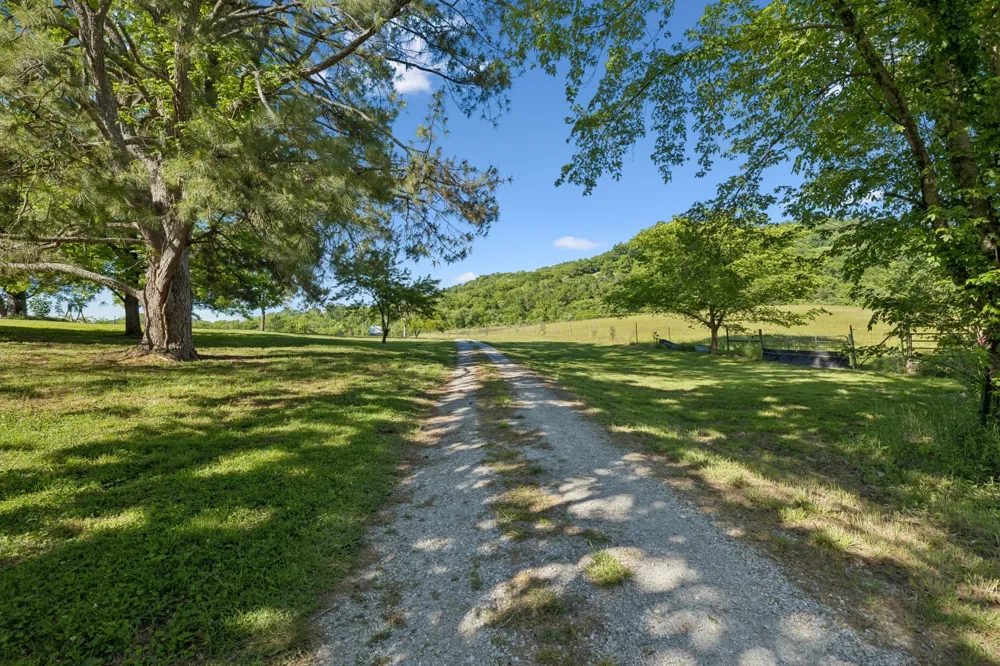 97 Seabo Valley Ln Hickman, TN 38567