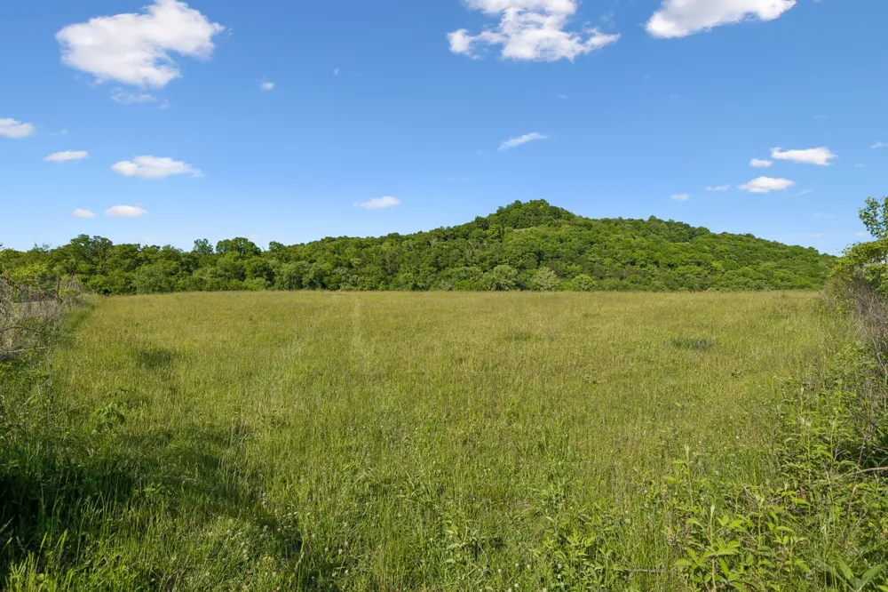 97 Seabo Valley Ln Hickman, TN 38567