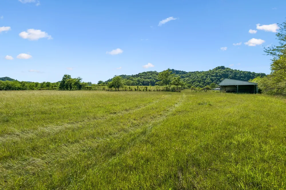 97 Seabo Valley Ln Hickman, TN 38567