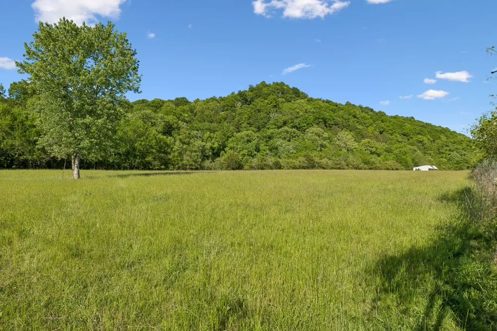 97 Seabo Valley Ln Hickman, TN 38567