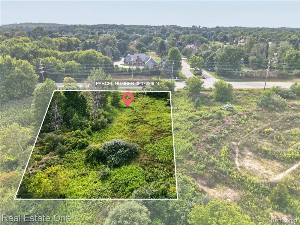 Baldwin Orion Charter Township, MI 48360