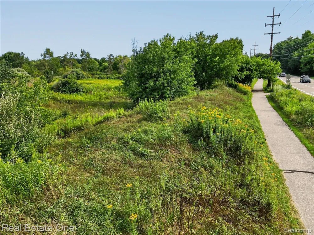 Baldwin Orion Charter Township, MI 48360