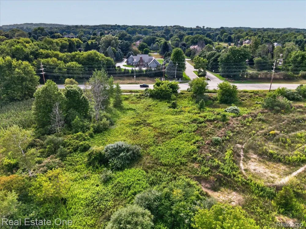 Baldwin Orion Charter Township, MI 48360
