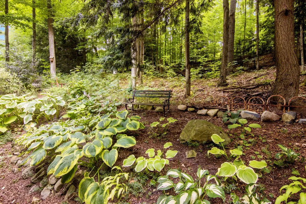 8335 Forest Drive Elmwood Charter Township, MI 49686