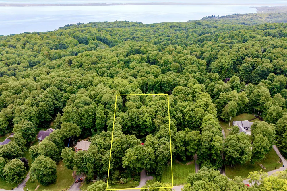 8335 Forest Drive Elmwood Charter Township, MI 49686