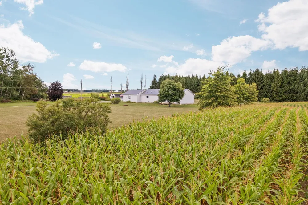 8484 Zue Road Grant Township, MI 49620