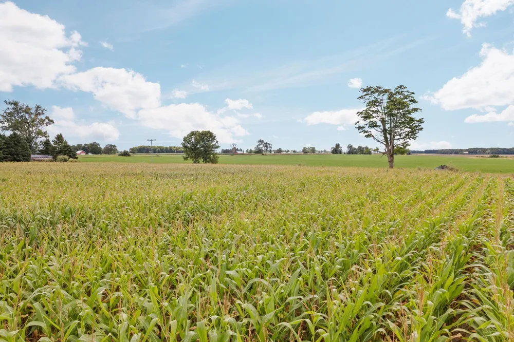 8484 Zue Road Grant Township, MI 49620