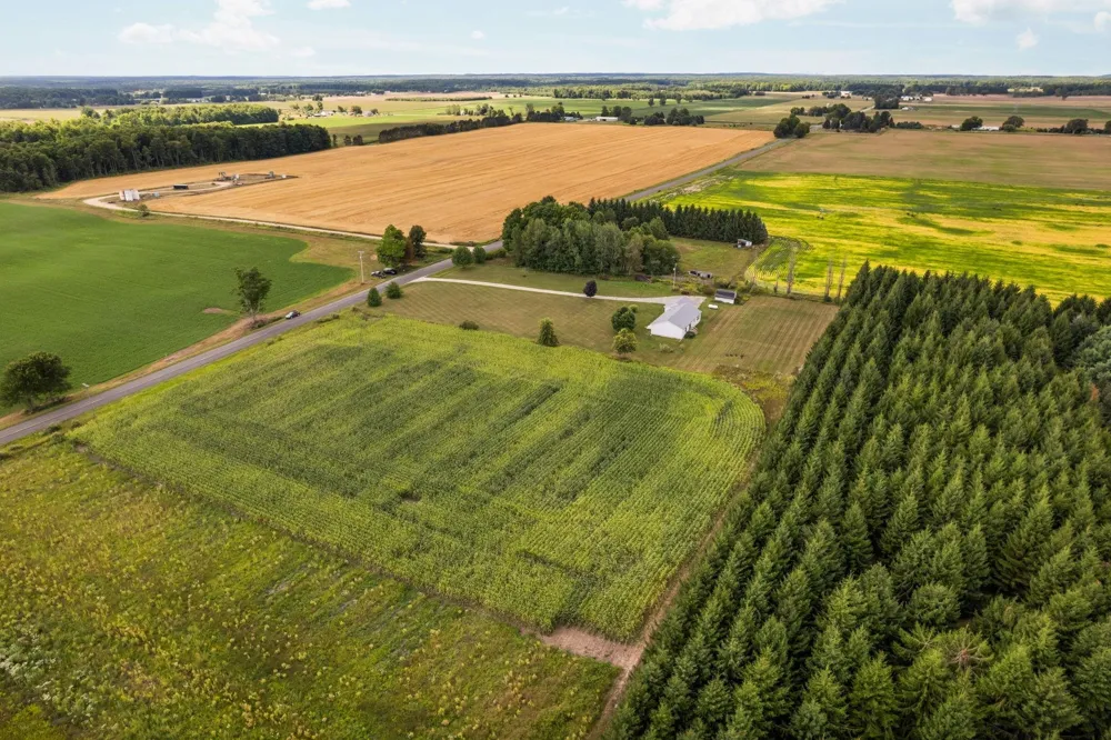 8484 Zue Road Grant Township, MI 49620