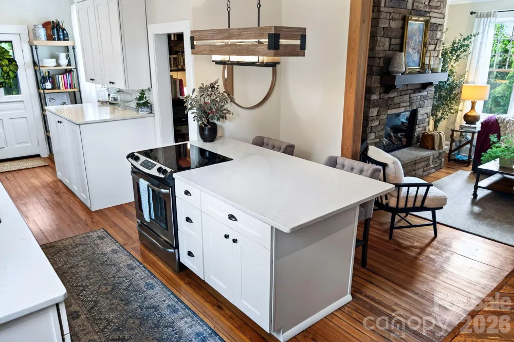 46 E Chestnut Street Asheville, NC 28801