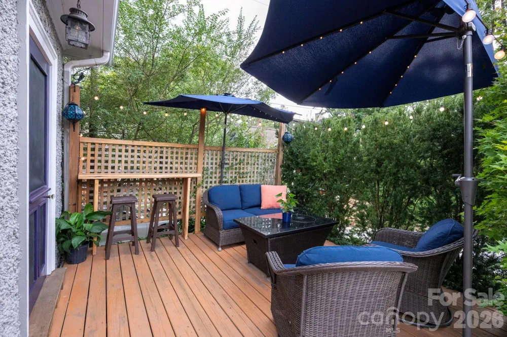 46 E Chestnut Street Asheville, NC 28801