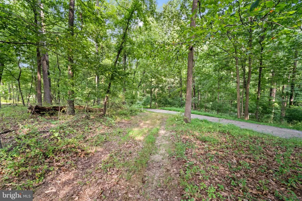 14002 LONGNECKER Reisterstown, MD 21136