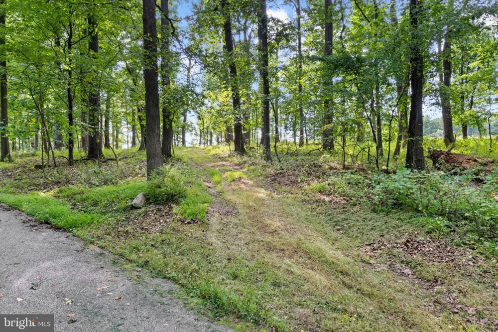 14002 LONGNECKER Reisterstown, MD 21136