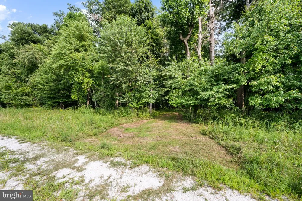 14002 LONGNECKER Reisterstown, MD 21136