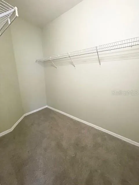 20012 DAYTONA WAY Tampa, FL 33647