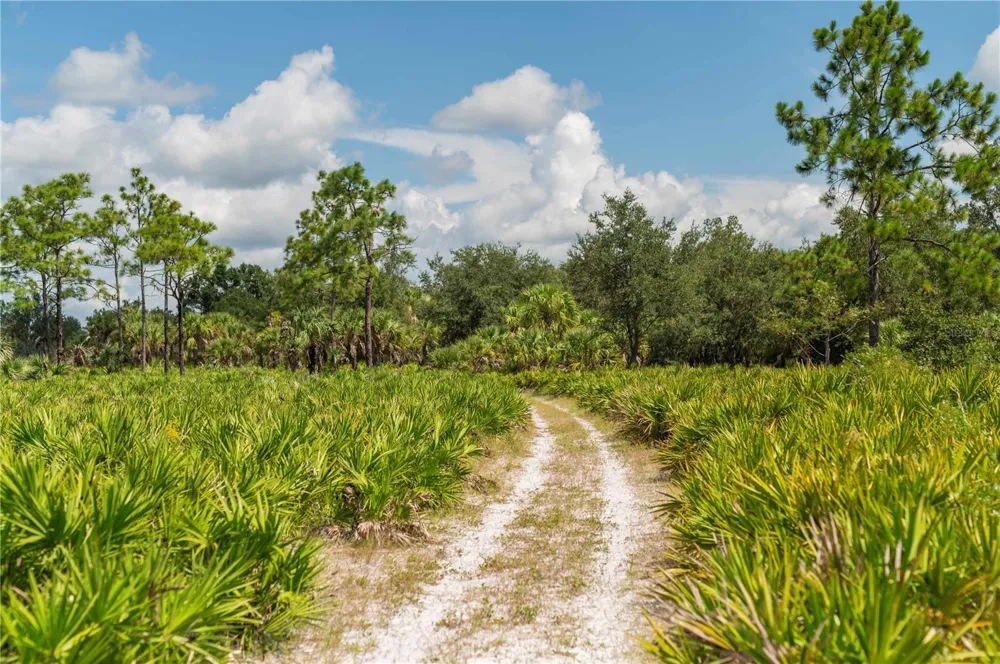 SW AURIN GRADE #A Arcadia, FL 34266