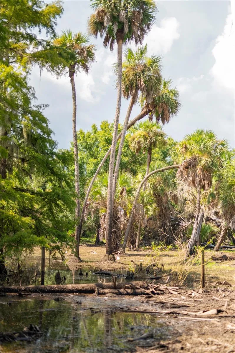 SW AURIN GRADE #A Arcadia, FL 34266