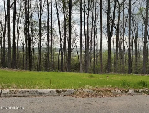 0 Lot 10 Poplar Drive