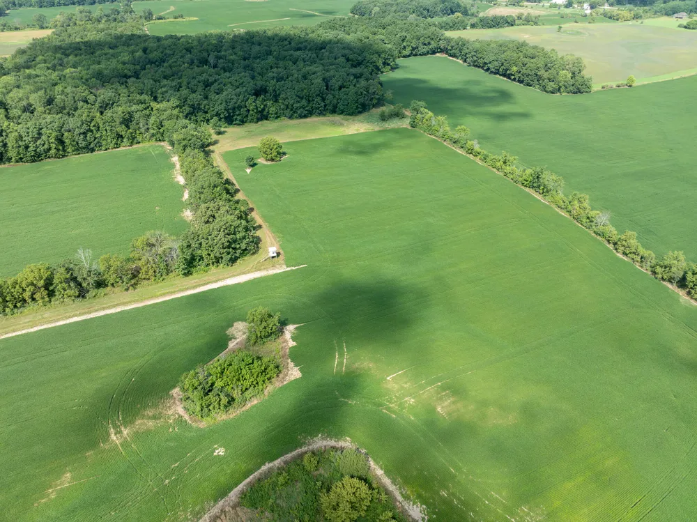 8070 Arkona Road Saline Township, MI 49236