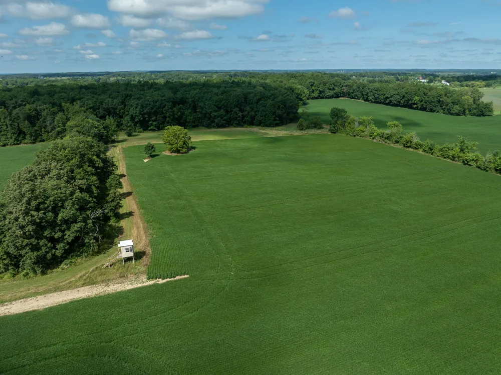 8070 Arkona Road Saline Township, MI 49236